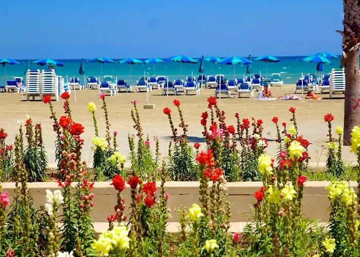 Modern Apartman Lárnaka